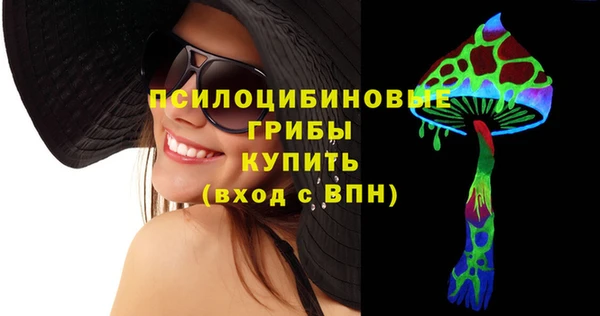 гашик Корсаков