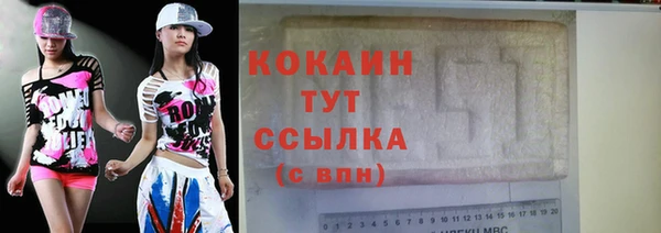 гашик Корсаков