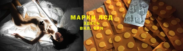 гашик Корсаков