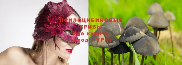 гашик Корсаков