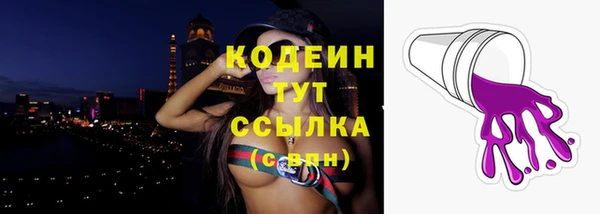 гашик Корсаков