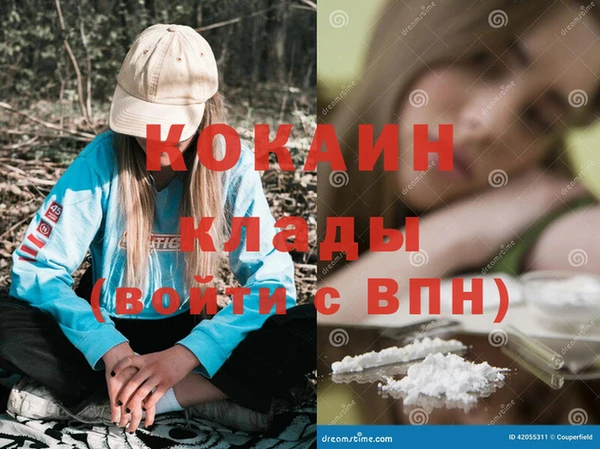 гашик Корсаков